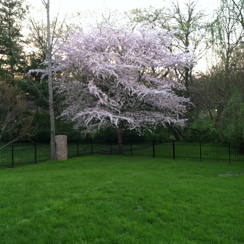 landscaping brentwood, tn